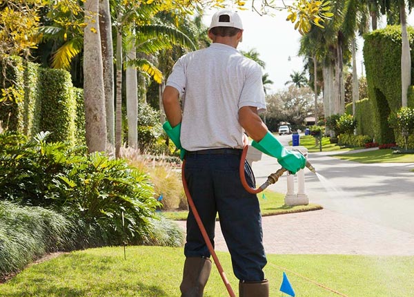 About Vail CO Pest Control Pros
